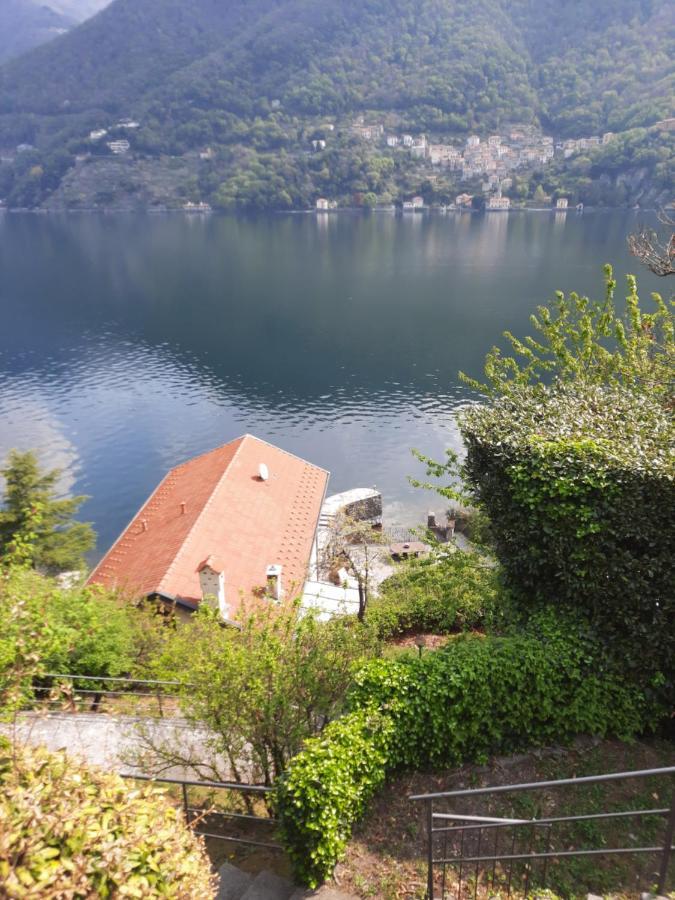 House On The Lake Shore Of לאליו מראה חיצוני תמונה
